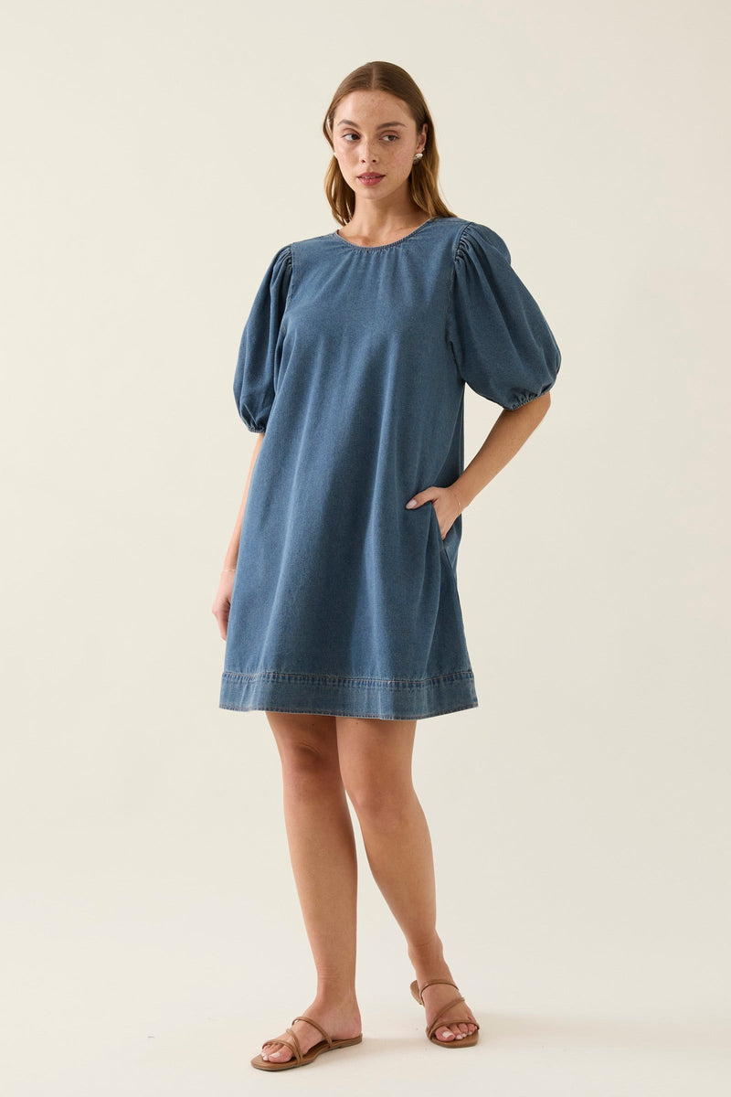 Sofie Denim Dress