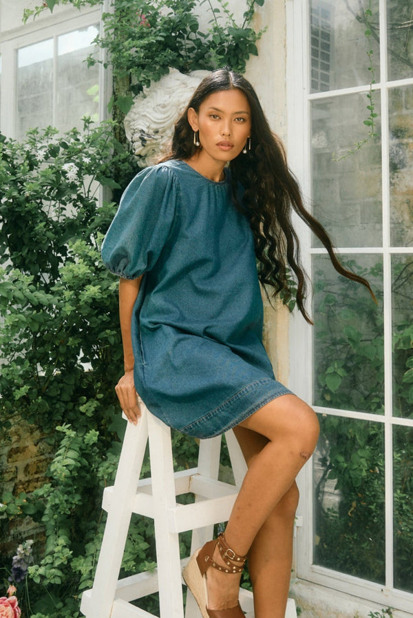 Sofie Denim Dress
