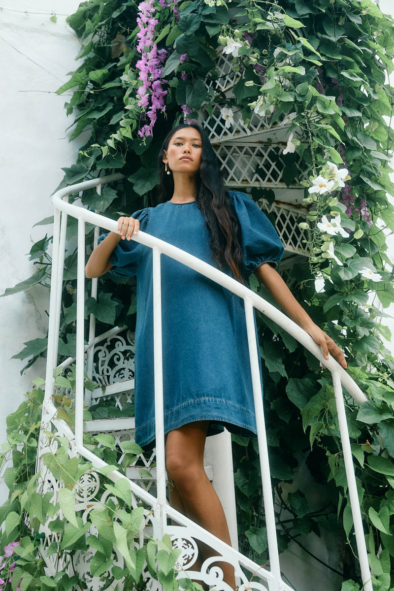 Sofie Denim Dress